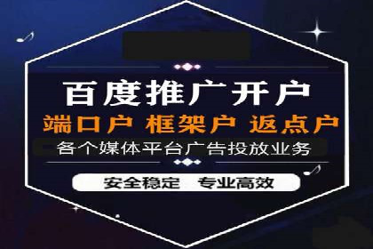 搜索引擎营销（SEM）在本地市场的投放案例